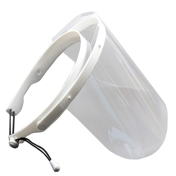 Replacement Face Visors 10 Shields