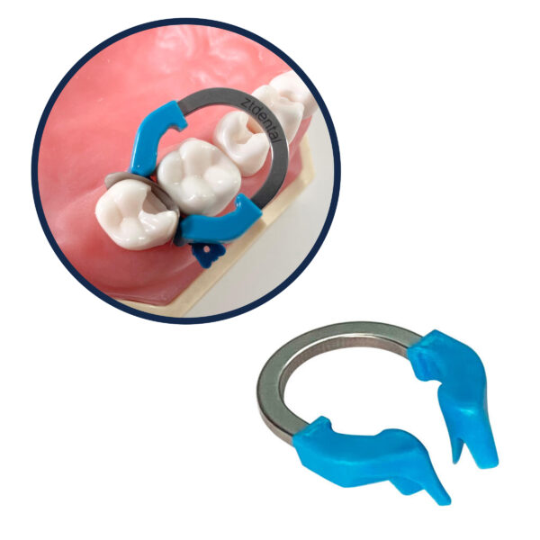 R6 V Ring - Dental Retainer Matrix Clamping Ring with Wedge Support - Universal Size